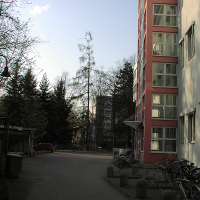 Gralis Bild