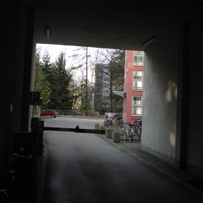 Gralis Bild