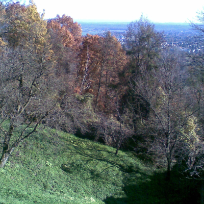 Gralis Bild