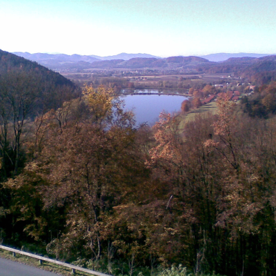 Gralis Bild