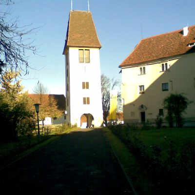 Gralis Bild
