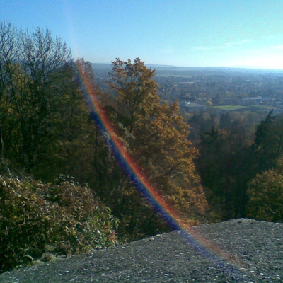 Gralis Bild
