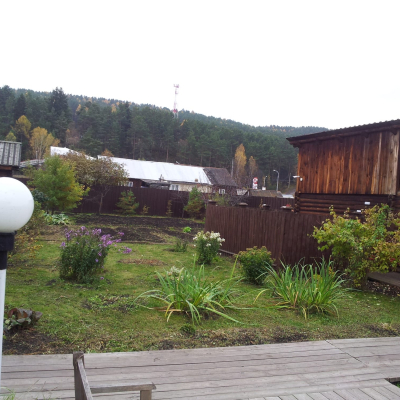 Gralis Bild