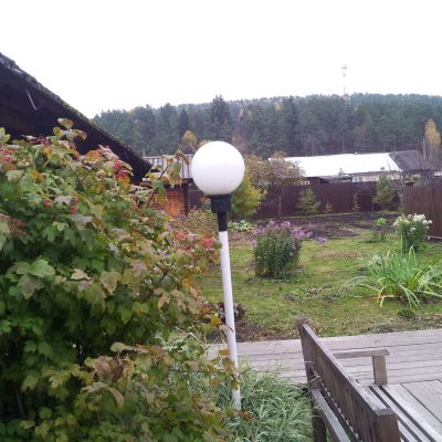 Gralis Bild
