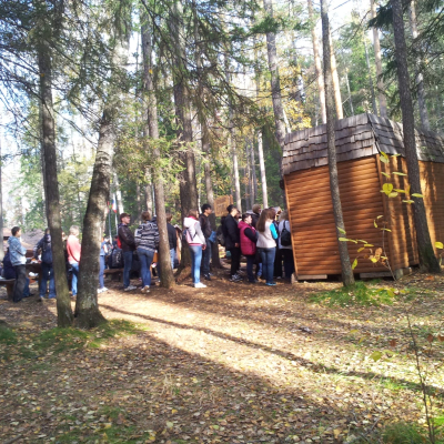 Gralis Bild
