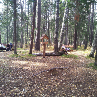 Gralis Bild