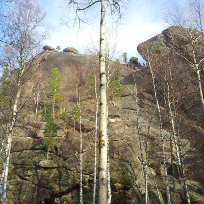 Gralis Bild