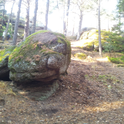 Gralis Bild