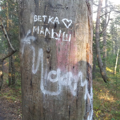 Gralis Bild