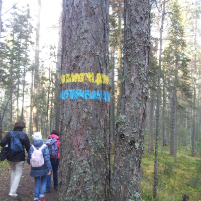 Gralis Bild