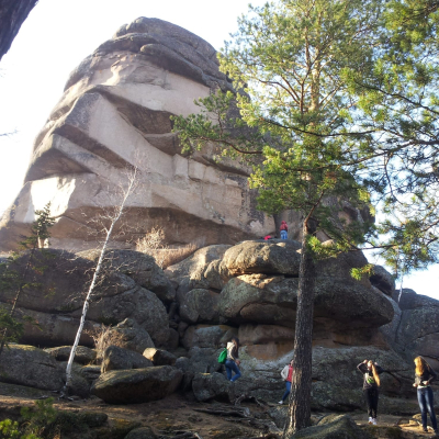 Gralis Bild