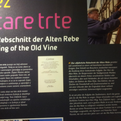 Gralis Bild