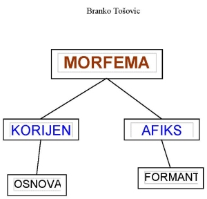MORFEMA - KORIJEN AFIKS - OSNOVA FORMANT
