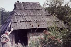 Hašani