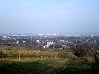 http://upload.wikimedia.org/wikipedia/commons/2/23/Kadoltsberg_Wien_Liesing.JPG